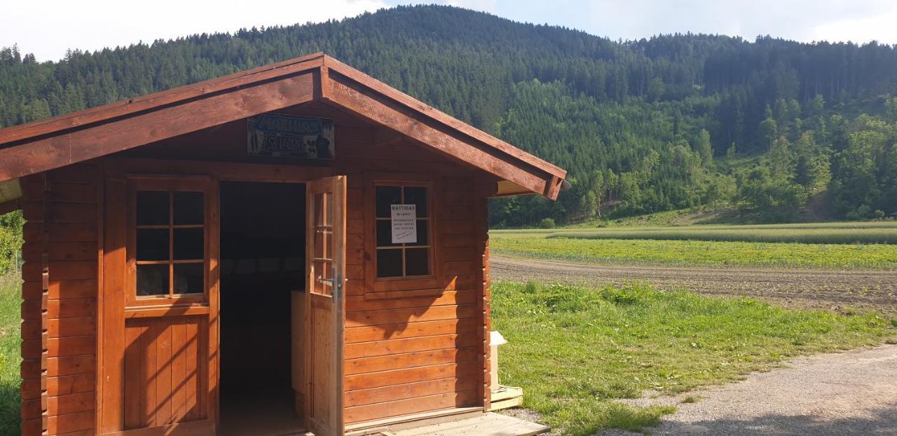 Ferienwohnung Singer Vols Exterior foto